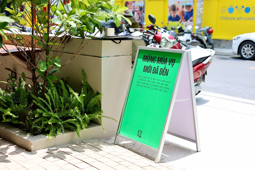 Sustainable Design and Eco-Friendly Interiors